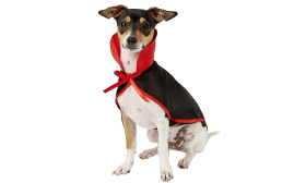 Vampyr-Hundekostume til Halloween Hund vampyrkostume i sort og rød med høj krave og butterfly, 2-i-1 sæt, letvægts, holdbart og justerbart.