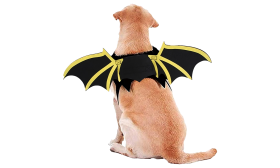 Flagermusvinger til Hund til Halloween Flagermusvinger til Hund til Halloween