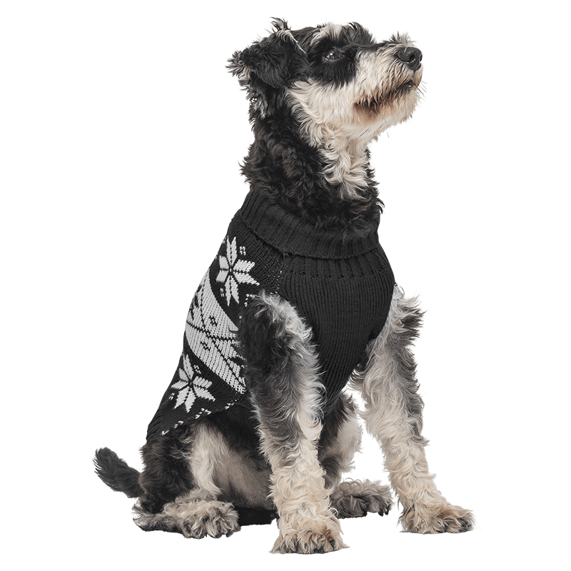 Vintertrøje med Tryk til Hunde Sort vintertrøje til hunde med hvidt snefnug mønster, vaskbar, giver varme og festlig stil.