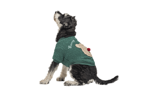 Grøn knapjuljakke til hunde med fluffy bjørnedesign på ryggen, vaskbar, til vinter og efterår.