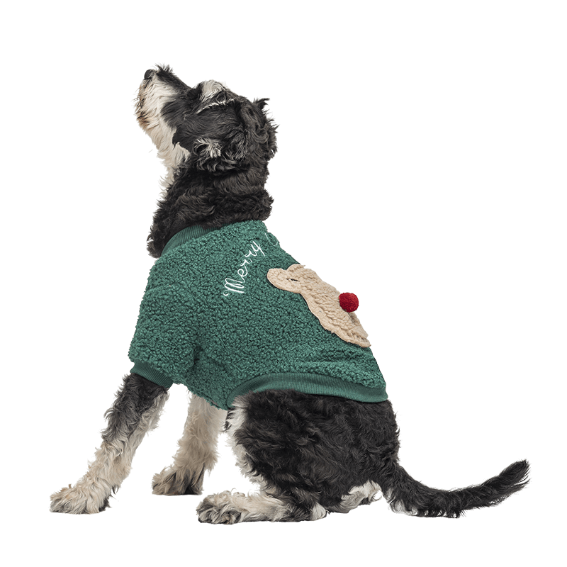 Varm Julebeklædning med Knapper til Hunde Grøn knapjuljakke til hunde med fluffy bjørnedesign på ryggen, vaskbar, til vinter og efterår.