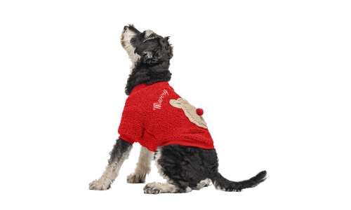 Rød knapjuljakke til hunde med fluffy bjørnedesign på ryggen, vaskbar, til vinter og efterår.