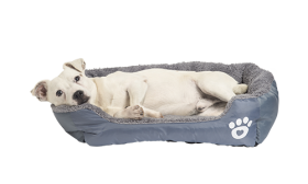 Blød hundeseng