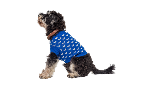 Hund iført en hyggelig blå sweater med hvide hjerteprint, perfekt til varme og stil i de koldere måneder.