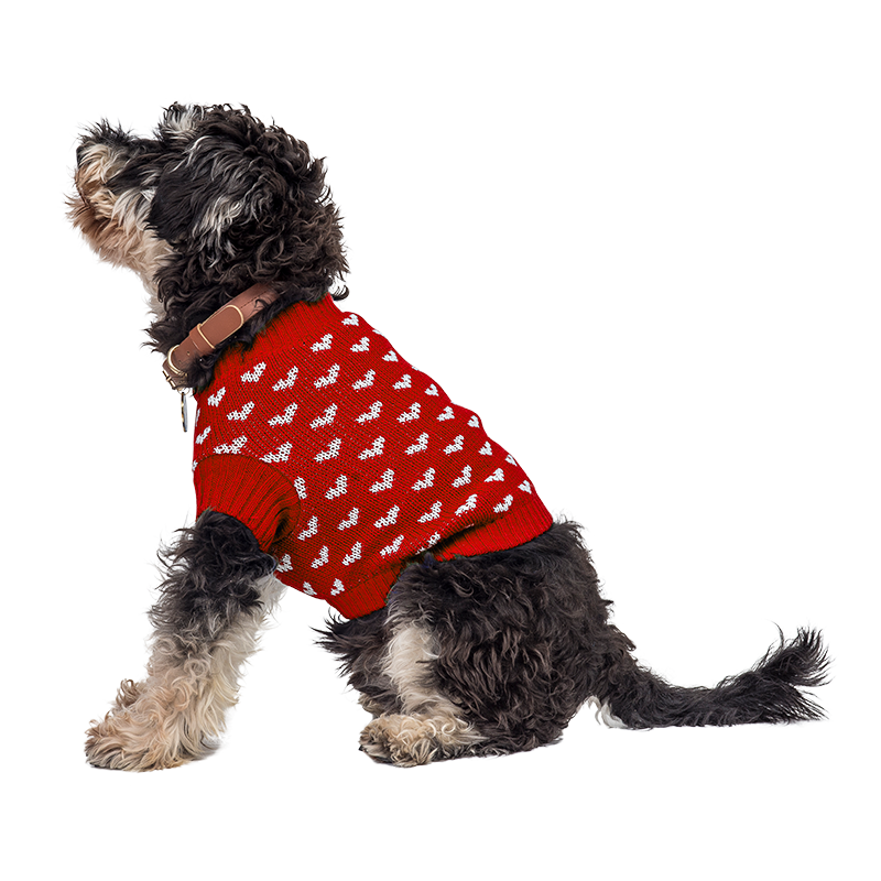 Sweater med hjerter til hunde og katte Hund iført en hyggelig rød sweater med hvide hjerteprint, perfekt til varme og stil i de koldere måneder.