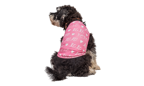 Hund iført en lille lyserød Valentinsdag vest med hvidt hjerte og 'XOXO', designet som et festligt og stilfuldt outfit.
