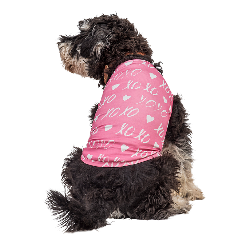 Hundevest til Valentines dag Hund iført en lille lyserød Valentinsdag vest med hvidt hjerte og 'XOXO', designet som et festligt og stilfuldt outfit.