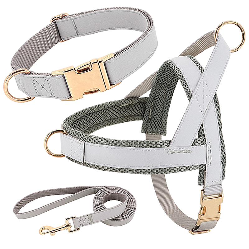 Hundesele med Halsbånd og Snor Sølv hundeselerkit med matchende halsbånd og line, letvægts, holdbar og langtidsholdbar, komfortabel og sikker pasform.