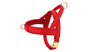 Hundesele med Halsbånd og Snor Rød hundeselerkit med matchende halsbånd og line, letvægts, med guldbukler og D-ring.