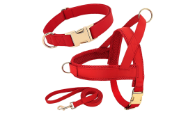 Hundesele med Halsbånd og Snor Rød hundeselerkit med matchende halsbånd og line, letvægts, holdbar og langtidsholdbar, komfortabel og sikker pasform.
