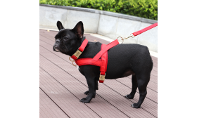 Hundesele med Halsbånd og Snor Rød hundeselerkit med matchende halsbånd og line, letvægts, holdbar og langtidsholdbar, stilfuldt og koordineret look.