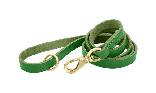 Grøn luksuriøs hundeline i ægte læder, 150 cm lang og behagelig, med guldfarvet metalspænde og ring for holdbarhed.