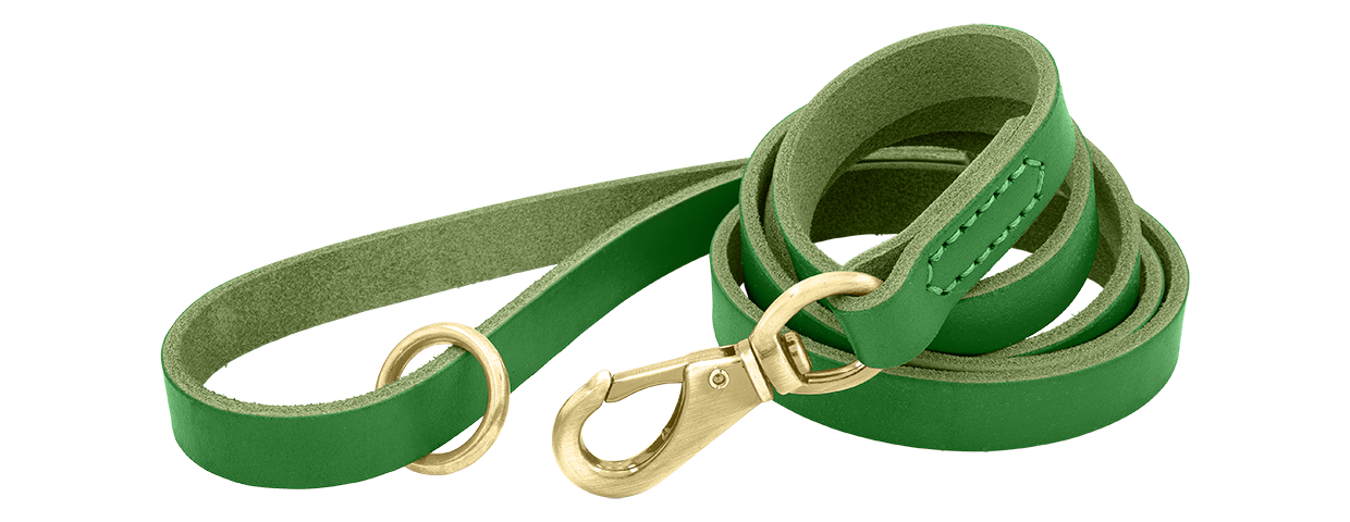 Luksus hundesnor i ægte læder Grøn luksuriøs hundeline i ægte læder, 150 cm lang og behagelig, med guldfarvet metalspænde og ring for holdbarhed.