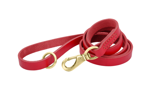 Rød luksuriøs hundeline i ægte læder, 150 cm lang og behagelig, med guldfarvet metalspænde og ring for holdbarhed.