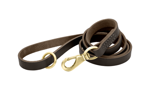 Brun luksuriøs hundeline i ægte læder, 150 cm lang og behagelig, med guldfarvet metalspænde og ring for holdbarhed.