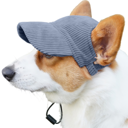 Corgi iført en åndbar blå ribbet sportskasket til hunde, let og beskytter mod solen under sommerture.