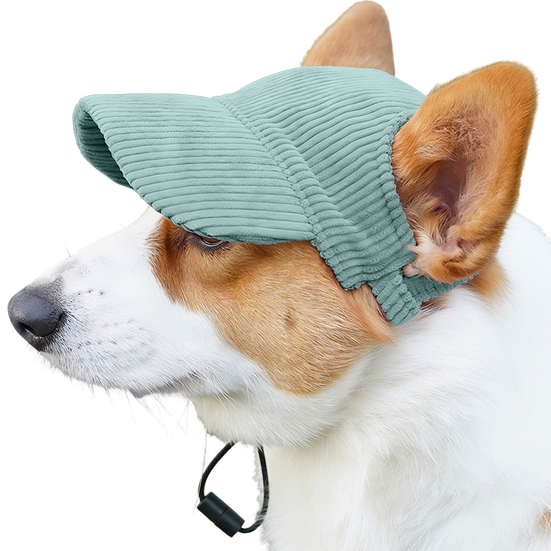 Åndbar Hundekasket til Sommeren Corgi iført en åndbar grøn ribbet sportskasket til hunde, let og beskytter mod solen under sommerture.