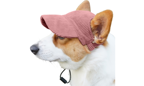Corgi iført en åndbar lyserød ribbet sportskasket til hunde, let og beskytter mod solen under sommerture.