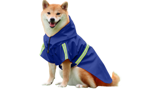 Shiba Inu i en vandtæt blå regnjakke med reflekser, nemme stropper til på- og afklædning, perfekt til regnvejrsture.