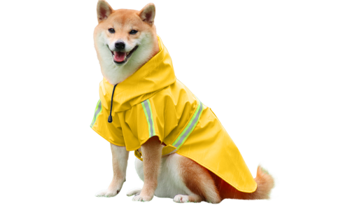 Shiba Inu i en vandtæt gul regnjakke med reflekser, nemme stropper til på- og afklædning, perfekt til regnvejrsture.