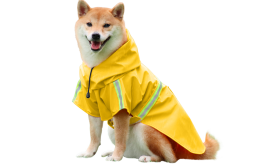 Shiba Inu i en vandtæt gul regnjakke med reflekser, nemme stropper til på- og afklædning, perfekt til regnvejrsture.