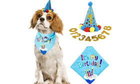 Blåt fødselsdagssæt til hunde med en farverig 'It's My Birthday!' bandana, blød og holdbar.
