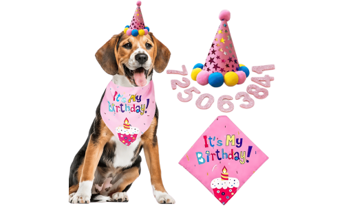 Lyserødt fødselsdagssæt til hunde med en farverig 'It's My Birthday!' bandana, blød og holdbar.