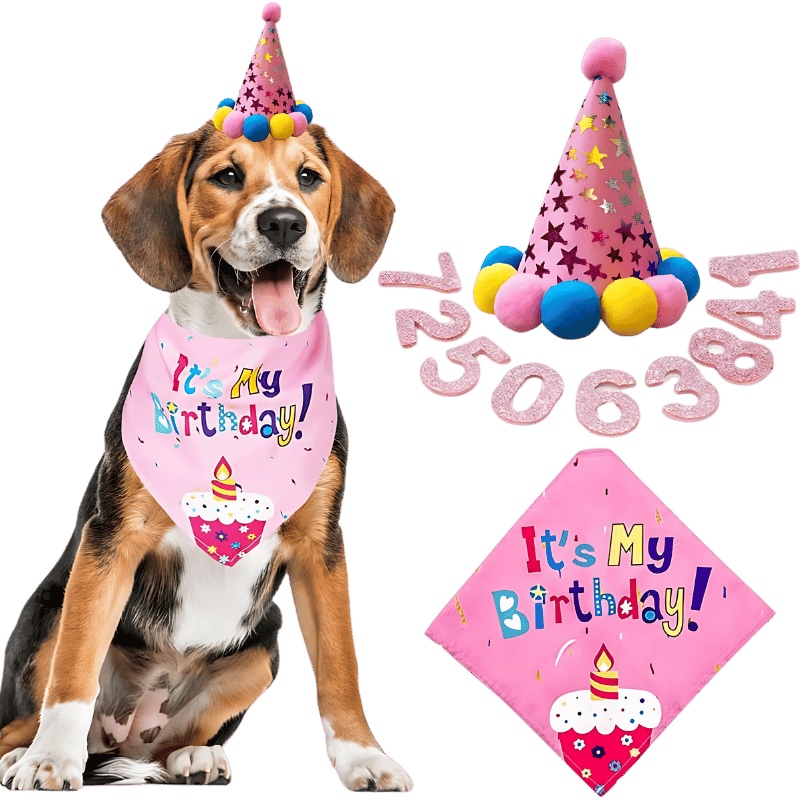 Bandanasæt til din Hundsfødselsdag Lyserødt fødselsdagssæt til hunde med en farverig 'It's My Birthday!' bandana, blød og holdbar.
