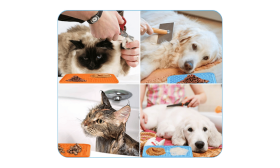 Ikke-giftig Hundeslikkemåtte med Spatel