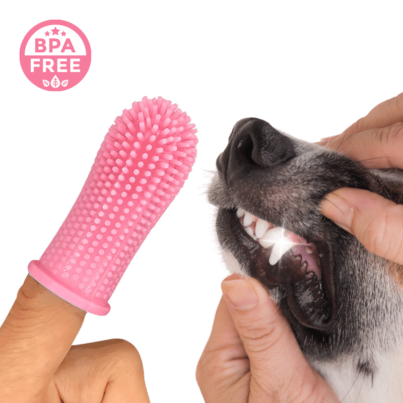 360º Fingertandbørste i Silikone til Hunde