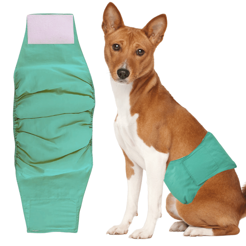 Førsteklasses, Vaskbar Hundeble til Hanhunde