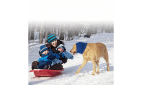 Angsthæmmende Hundehætte til Støj, ører og Koldt Vejr