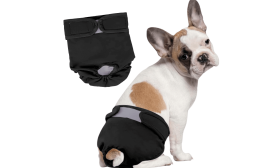 Førsteklasses, Vaskbar Hundeble til Hunhunde