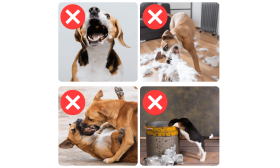 Justerbar, Reflekterende Mundkurv - åndbar og behagelig