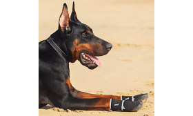 360° Refleks Hundesko – Vandtætte & Skridsikre Sko til Beskyttelse af Hundepoter