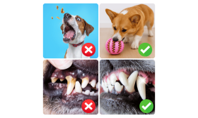 Interaktiv Bold med Godbidder – Sjovt Legetøj i Gummi til Hunde Interaktiv Bold med Godbidder – Sjovt Legetøj i Gummi til Hunde