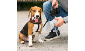 Foldbar Vandflaske til hunde 550 ml - Rejsevandskål til Kæledyr i Fødevaregodkendt Silikone