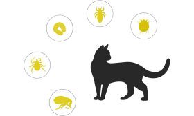 Naturligt Loppe- og Flåthalsbånd Til Kat Naturligt lopper- og flåt halsbånd til katte, målrettet beskyttelse mod lopper, flåter, larver, lus og myg.