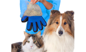 Striglehandske Til Hund Person holder den blåt plejehandske ved en hund og kat, viser handsken i brug til kæledyrspleje.