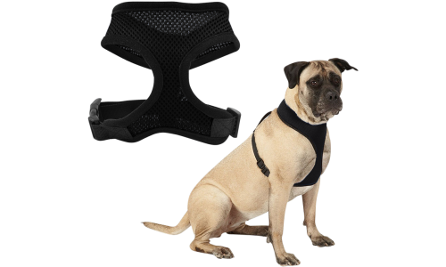 Sort mesh hundesele, letvægtsdesign for komfort, med justerbare sorte stropper og holdbar clips.