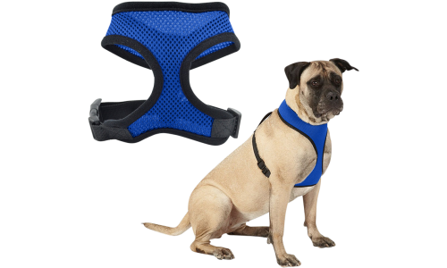 Blåt mesh hundesele, letvægtsdesign for komfort, med justerbare sorte stropper og holdbar clips.