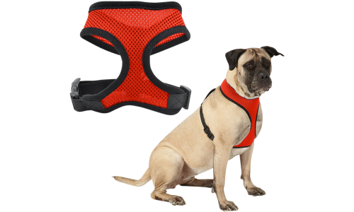 Rød mesh hundesele, letvægtsdesign for komfort, med justerbare sorte stropper og holdbar clips.