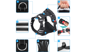 Hundesele Med Antitræk Detaljeret visning af no-pull hundesele, lille størrelse, viser holdbare spænder, reflekterende syning og åndbart mesh.