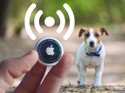 Apple AirTag til hunde: Den ultimative vejledning til, hvordan du beskytter  dit kæledyr