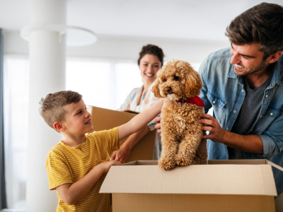 Ny hvalp i hjemmet: Uundværlige ting til hvalpens første tid